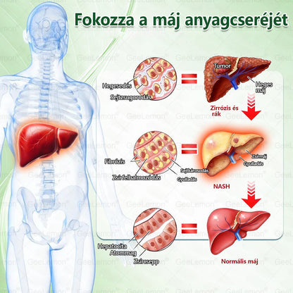Magyar hivatalos bol 🍃 𝐆𝐞𝐞𝐋𝐞𝐦𝐨𝐧® 8 az 1-ben karcsúsító nano mikrotűs tapasz 🇭🇺 Napi egyszeri használat ✅ 7 napon belül látható eredmény – Alkalmas elhízás, szív- és érrendszeri problémák, cukorbetegség és ízületi problémák kezelésére