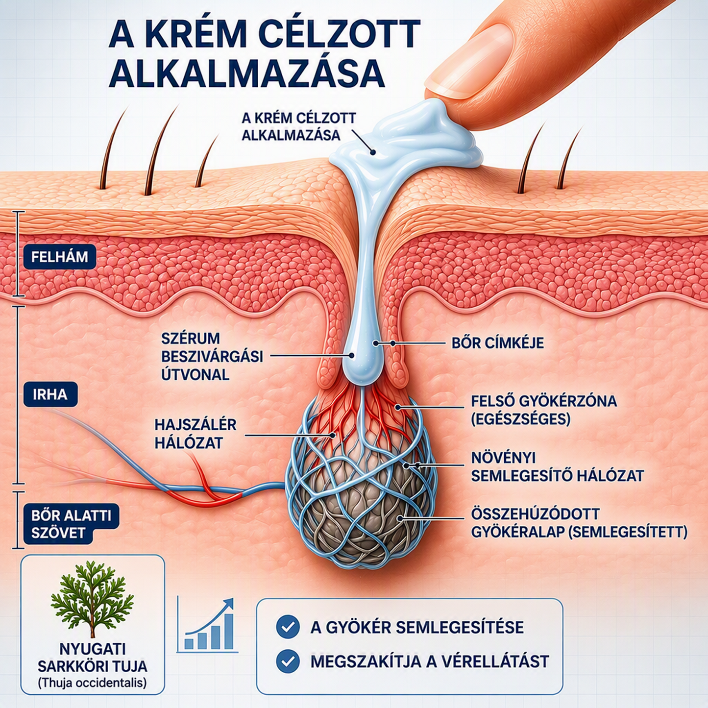 𝐇𝐈𝐒𝐊𝐈𝐍® 𝟕 𝐧𝐚𝐩𝐨𝐬 𝐤𝐫é𝐦 𝐛ő𝐫𝐤𝐢𝐧ö𝐯é𝐬𝐞𝐤 𝐞́𝐬 𝐩𝐢𝐠𝐦𝐞𝐧𝐭𝐟𝐨𝐥𝐭𝐨𝐤 𝐞𝐥𝐥𝐞𝐧 (𝐅á𝐣𝐝𝐚𝐥𝐨𝐦𝐦𝐞𝐧𝐭𝐞𝐬 𝐟𝐨𝐫𝐦𝐮𝐥𝐚 – 𝐇𝐞𝐠𝐦𝐞𝐧𝐭𝐞𝐬)